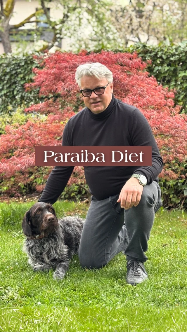 Yes, my dog ate 20 carats of Paraibas.

No, I didn’t chase after him...

...Now they’re part of the lawn. 

Honestly, it’s the most expensive fertiliser in Europe and probably the only one that still sparkles.